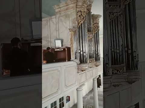 N's "MONSTER" in church! #organ #church #holy #monster #pipes #appropriate #metal #cover