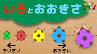 【モンテッソーリ教育】てんとう虫パズル で いろとおおきさをまなぼう！色 と 大小をおぼえる 幼児向け 知育動画【 赤ちゃん喜ぶ泣き止む】0歳からの教育アニメ