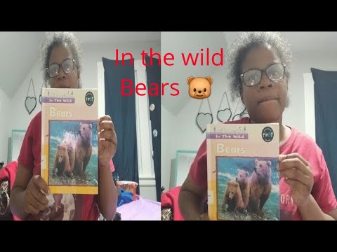 Wild Bear Reads Storybook in Forest - Cute or Terrifying? | Reading