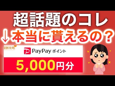 〇〇でPayPayガチ大量に貰えるけどコレって…