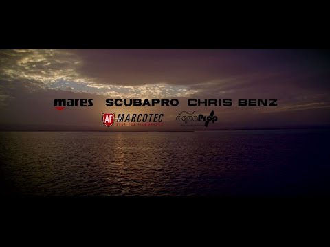 Dive Trophy 2016 sponsored by CHRIS BENZ Watches (Shark Proof 4k HD)