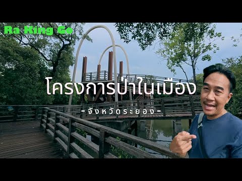 “Urban forest” Rayong, mangrove forest walking route | Ra King Go |