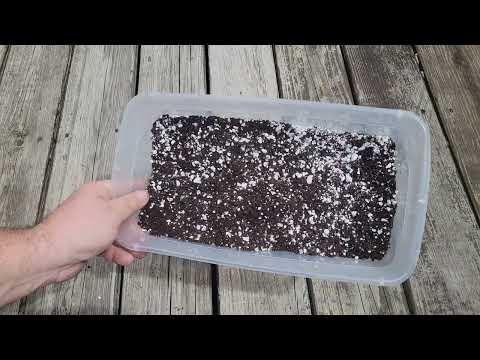 diy seed starting mix to save you money