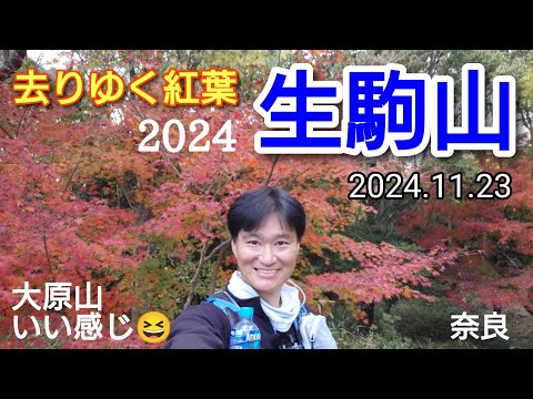 生駒山  去りゆく紅葉を求めて2024