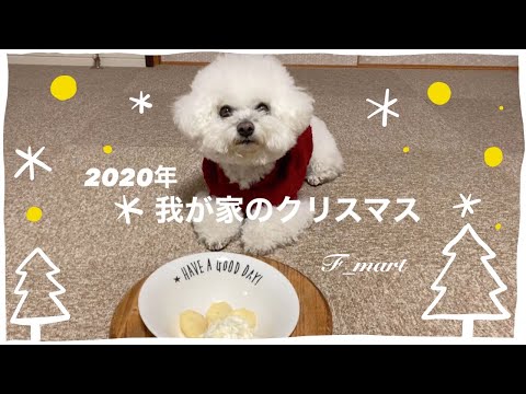 2020年　我が家のクリスマス　ｰビションフリーゼ犬ｰ