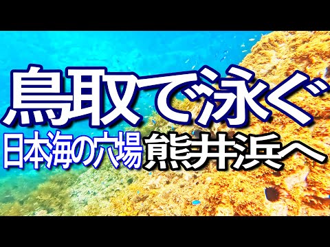 鳥取ゆる旅　日本海の穴場！熊井浜でシュノーケリング満喫