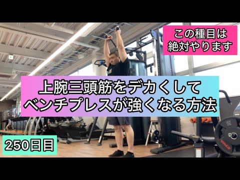 上腕三頭筋をデカくしてベンチプレスが強くなる方法【エブリベンチ250日目】