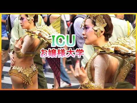 4K レベル高い！可愛い 大学生 サンバ ICUラムズ 三茶ラテンフェスティバル2023 Japanese Samba 三軒茶屋