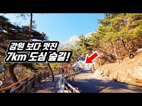 Downtown Forest Trekking in KOREA