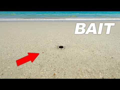 This tiny hole has BIZARRE Fishing Bait.. (Fishing Experiment)