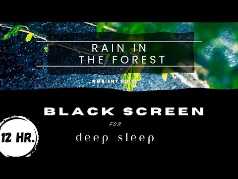 Lull Yourself to Sleep with the Soft Ambient Sound of Rain in a Lush Forest - Commercial Free!