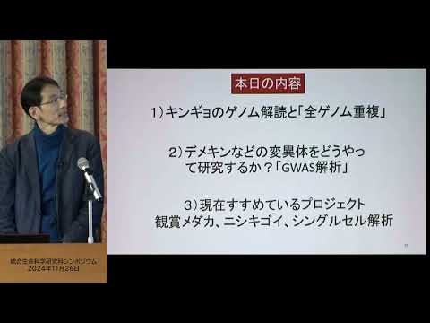 キンギョのゲノム解読と変異体のGWAS解析～デメキンの眼はなぜ飛び出ているのか～