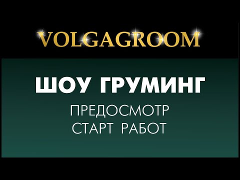 VOLGAGROOM 17.02: предосмотр ШОУ груминг