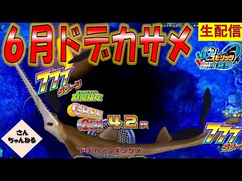 ６月の新ドデカサメ　ドデカノコギリザメ登場！釣りスピリッツ 釣って遊べる水族館実況プレイ 【さんちゃん】　生配信