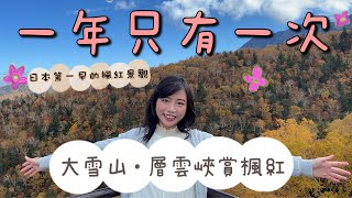 【大雪山🍁楓紅美景】日本第一早的紅葉景觀┃號稱「神仙的遊庭」┃大雪山 層雲峽 黑岳空中纜車┃北海道大雪山國立公園┃和風楓紅投影燈會