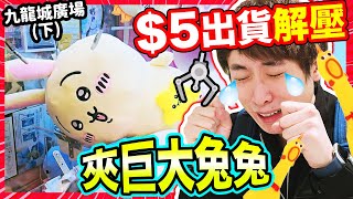 【夾娃娃】$5出貨超解壓🧸巨大兔兔🔥發生令我「悲痛的事」💔...夾勻九龍城廣場📍 (中文CC字幕)#下集