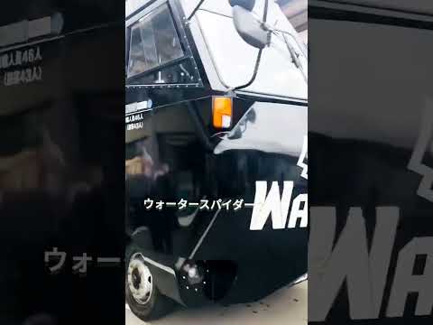 観光地に現わる！Special Car #shorts