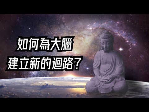 轉化心情最簡易的方法 - 給大腦建立新的迴路