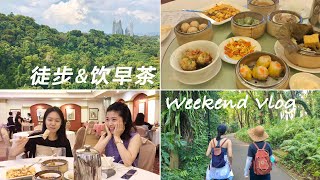 【新加坡徒步&饮早茶好去处】带你品尝传统广式早茶 | South Ridges 南部山脊 + Cantonese Dim Sum 广式茶楼 | Weekend Vlog