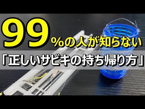 ストレス無し！究極のサビキ針収納法教えます！【54釣目】