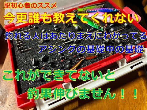 【アジング】初心者必見！釣れる人はみんなわかってる今更誰にも聞けない基礎中の基礎　これ出来てないと釣果伸びません！！　脱初心者のススメ