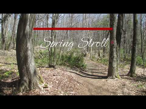 Spring Stroll at Sheriff Creek