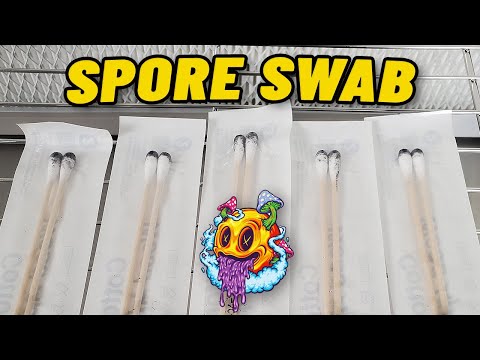 How To Make A Spore Swab (My First Time)