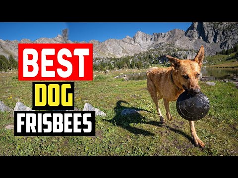 ✅Best Dog Frisbees for Outdoor Fetching in 2023