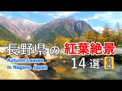 Top 14 best Autumn Leaves in Nagano, Japan (Part 2) / Kamikochi, Norikura Kogen, Matsumoto Castle