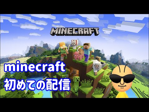 マイクラしてみる　ftb university 1.16.5