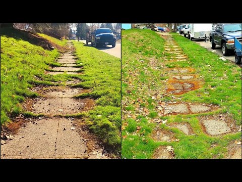 Overgrown Sidewalk UNCOVERED After 50 Years Of NEGLECT (12 Hour Job)