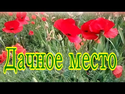 Дачное место