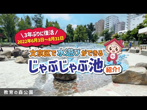 【文京区】水遊びができるオススメの公園を紹介「じゃぶじゃぶ池が復活」