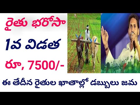 రైతు భరోసా రూ,7500 డబ్బులు విడుదల ||rythu bharosa 2024 release date telugu|| rythu bharosa 2024 date