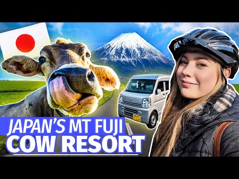 WOULD YOU stay at this Campsite IN JAPAN? Mount Fuji Vanlife