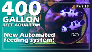 400 GALLON AQUARIUM AT FJ PROPS. FEATURING A NEW FEEDING SYSTEM BY REEF AQUARIA DESIGN. PART 13.