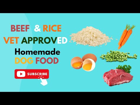 Homemade Dog Food Beef and Rice vet approved easy to cook Human grade | blogsbyibrar