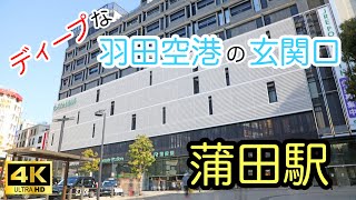 【検証】現役不動産会社社長が　蒲田駅を散歩 Japan stroll