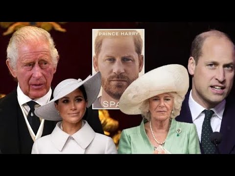 Prince Harry Exposes Royal Rift Over Meghan's Success