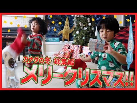 【こびとづかん】クリスマス!! カナダで見つけたこびと総集編!!