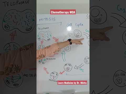 Chemotherapy Drugs  Basics : Mechanism of Action #chemotherapy #anticancer #cancer