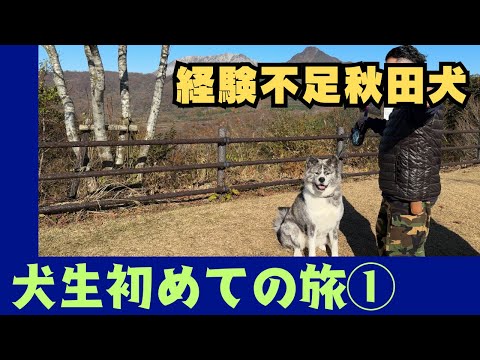 【秋田犬】犬生初めての旅　part①