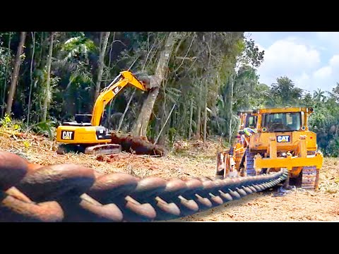 Land Clearing with Excavator and Chained Bulldozer - Deforestation for Agriculture