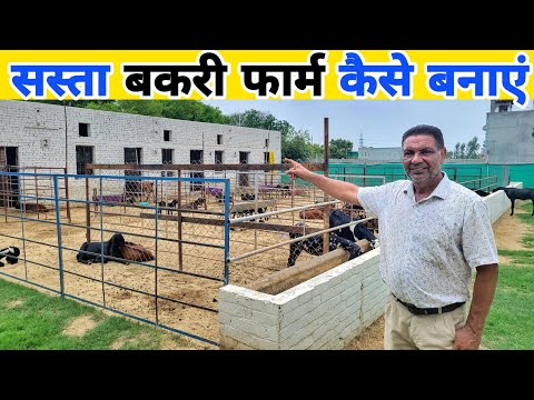 कम खर्चे में बकरी फार्म कैसे बनाएं | Goat farm shed kaise banaye