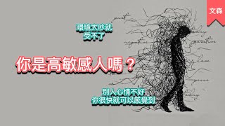 別人心情不好我馬上知道？對於味道特別講究？你可能是個高敏感人｜《高敏感是種超能力》+《The Highly Sensitive Person's Survival Guide》｜文森說書