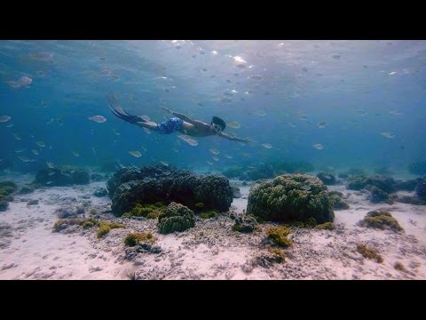 Freediving - Patch Reef! May 2016, Zamami Okinawa