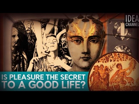 Is Pleasure The Secret to a Good Life? | Thought Experiment: The Experience Machine