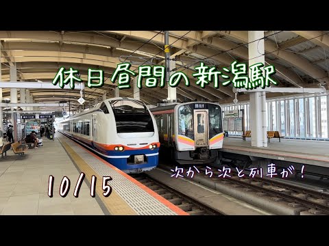 休日昼間の新潟駅を発着する列車たち