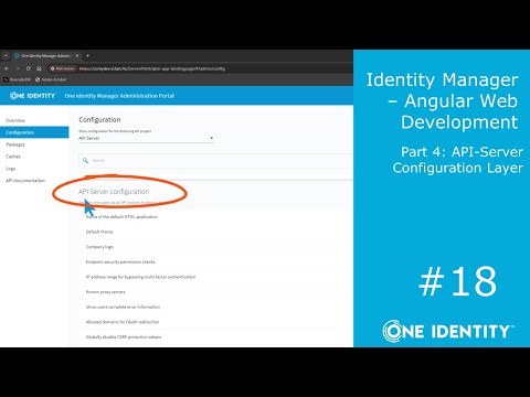 Identity Manager | Angular Web Development #18 | API-Server Configuration Layer