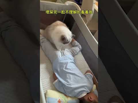 猫咪陪娃睡觉突然惊醒，短短几秒却要用一生来治愈… #猫和孩子 #萌娃和萌宠